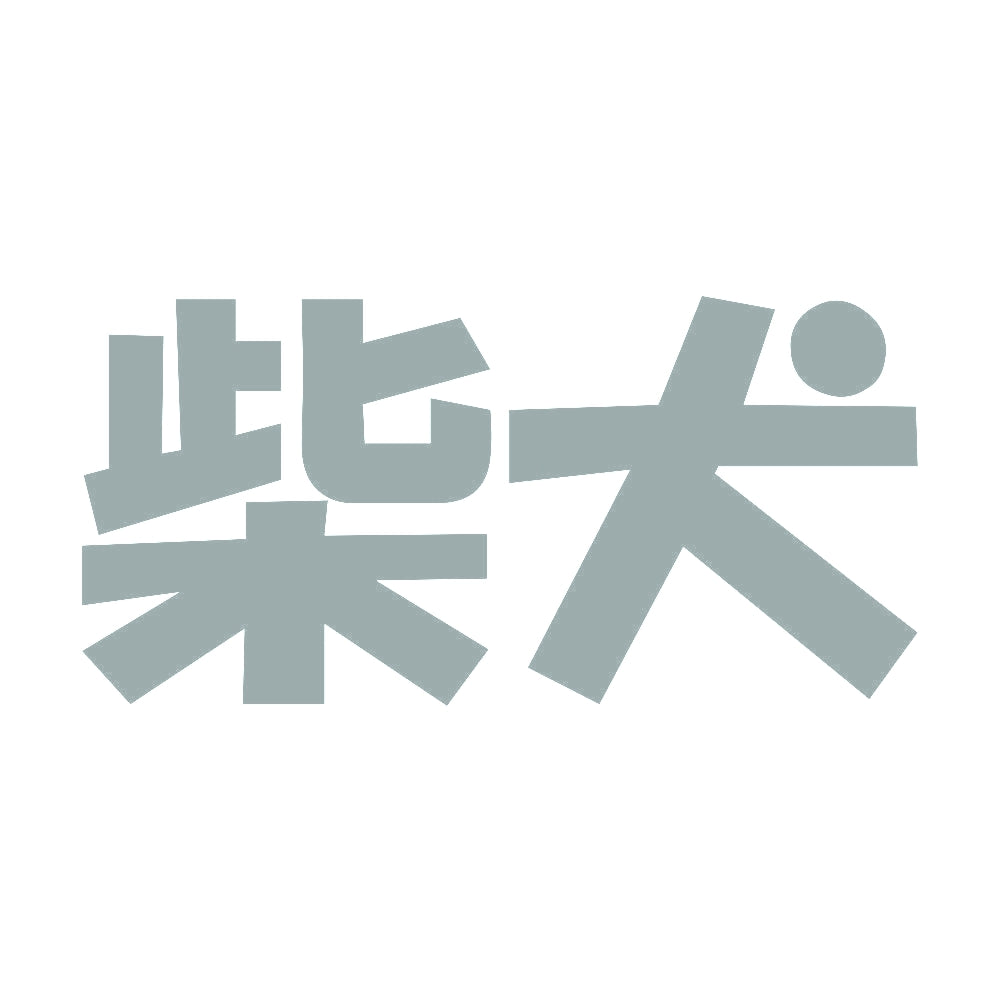 柴犬 10