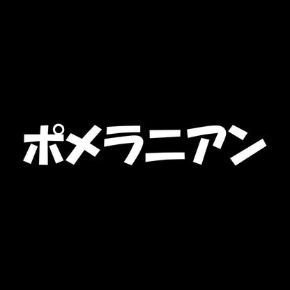 ポメラニアン 7