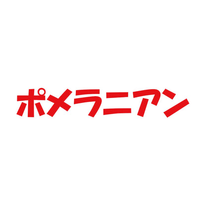 ポメラニアン 8