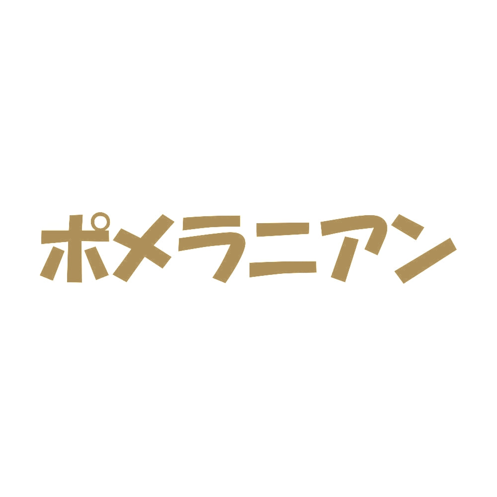 ポメラニアン 9