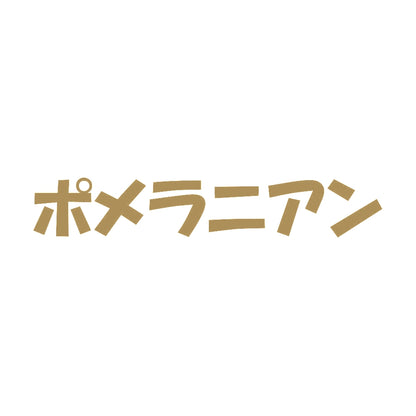 ポメラニアン 9