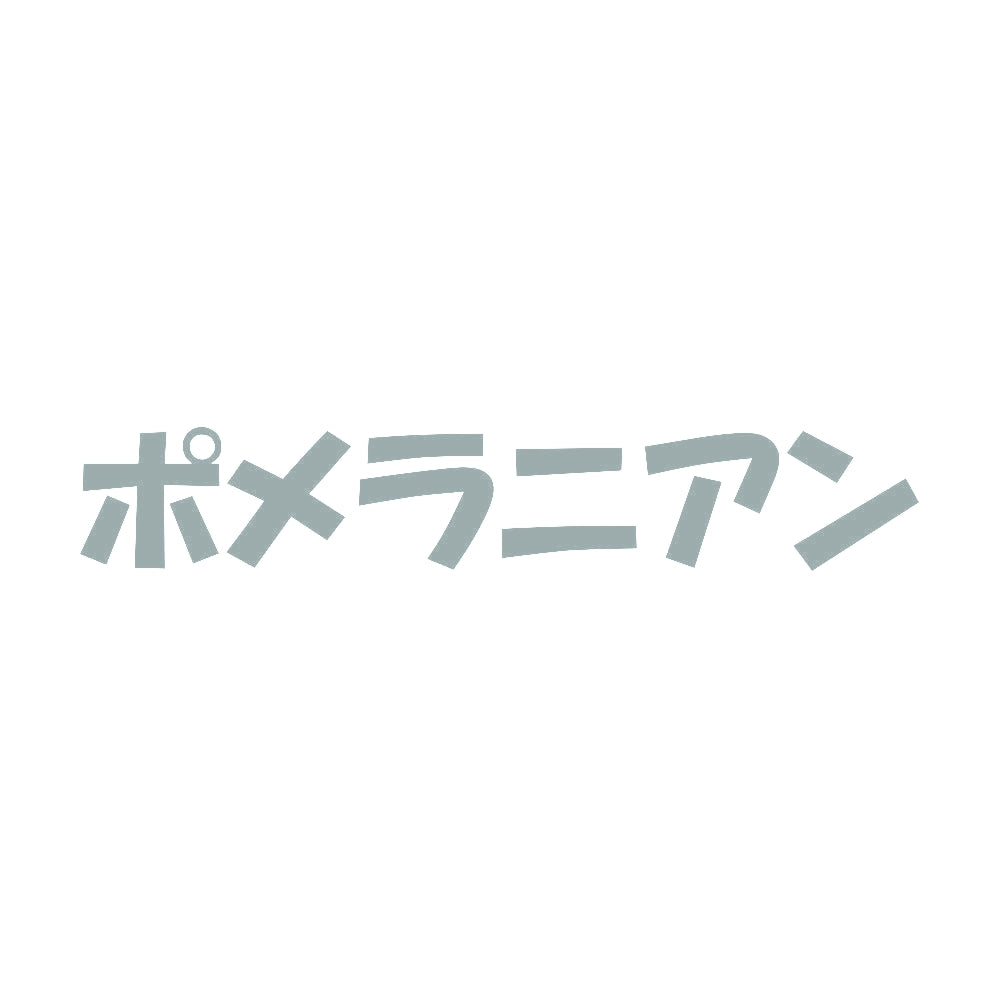 ポメラニアン 10