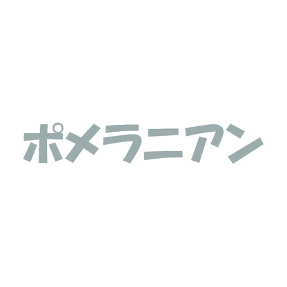 ポメラニアン 10