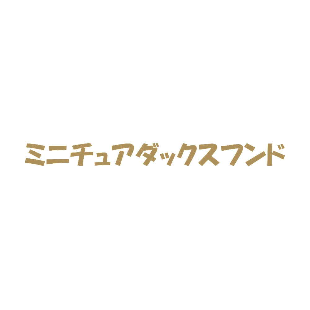 ミニチュアダックスフンド 9