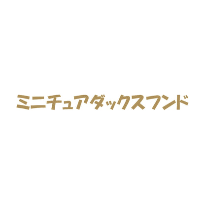 ミニチュアダックスフンド 9