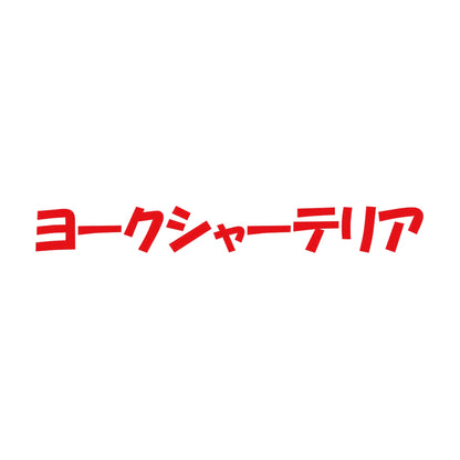 ヨークシャーテリア 8