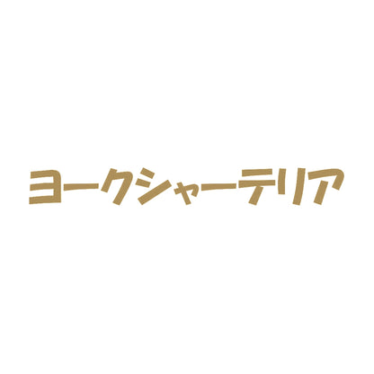ヨークシャーテリア 9