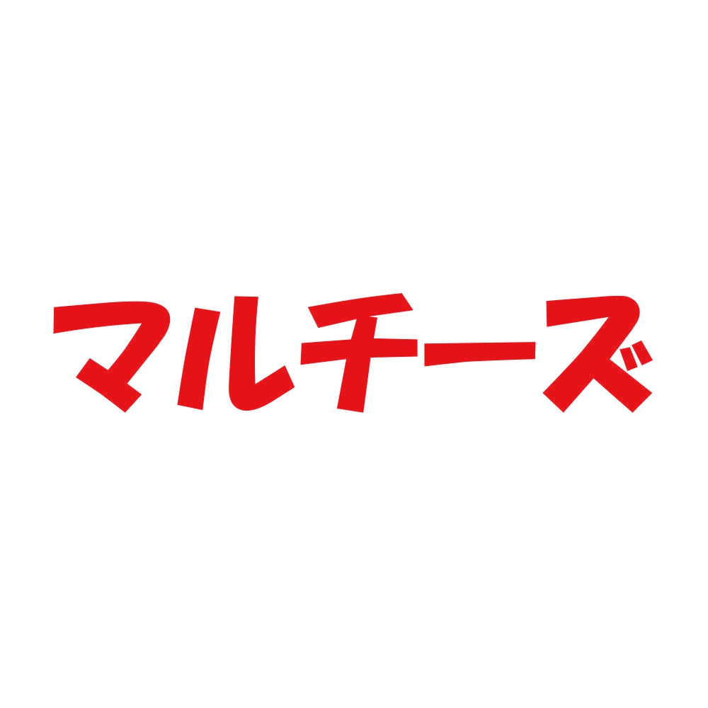 マルチーズ 8