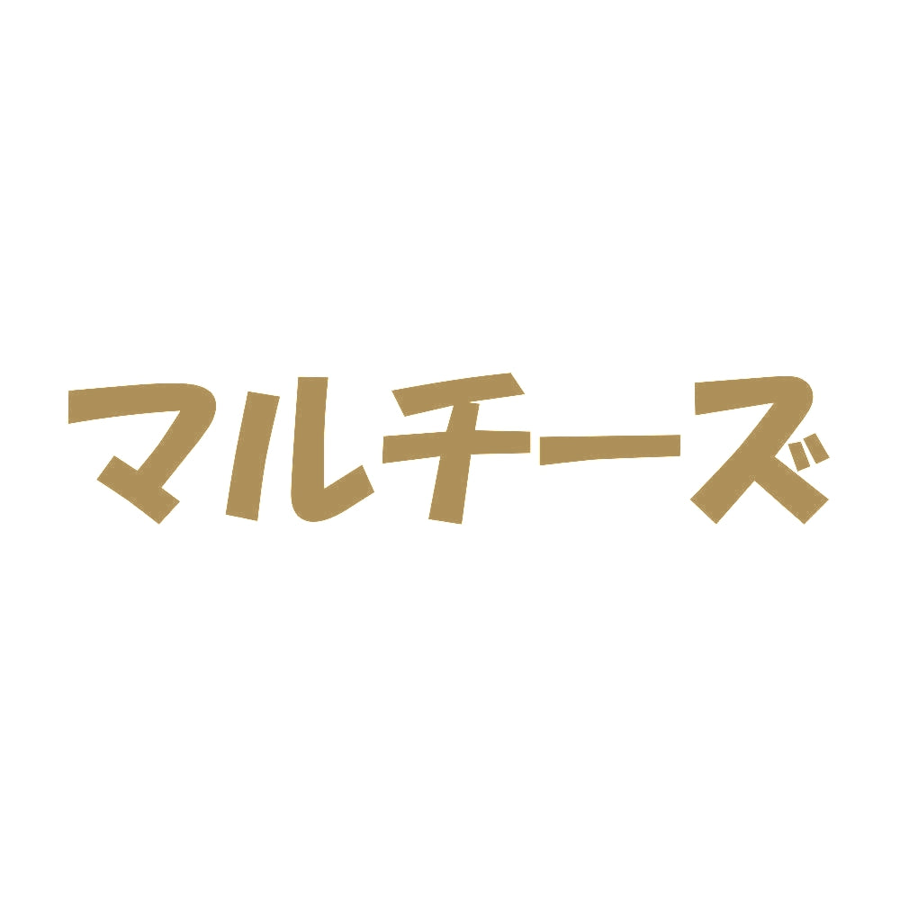 マルチーズ 9