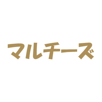 マルチーズ 9
