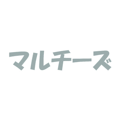 マルチーズ 10