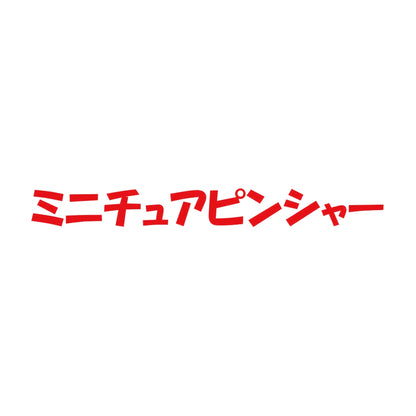 ミニチュアピンシャー 8