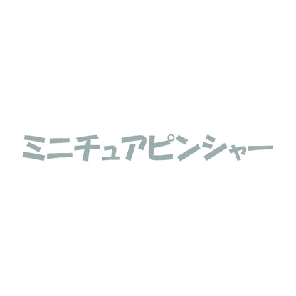 ミニチュアピンシャー 10