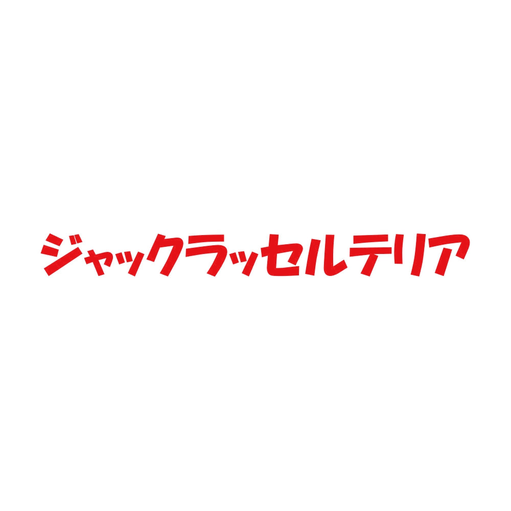 ジャックラッセルテリア 8