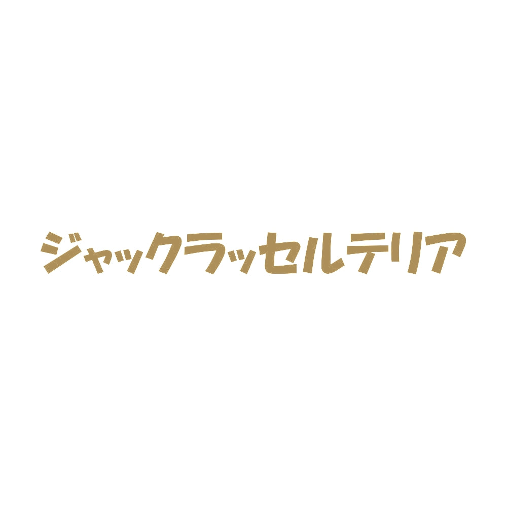 ジャックラッセルテリア 9