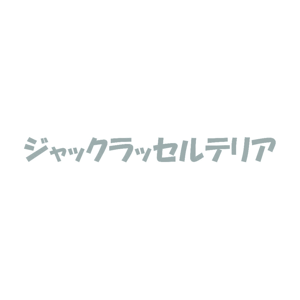 ジャックラッセルテリア 10