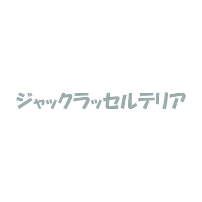 ジャックラッセルテリア 10