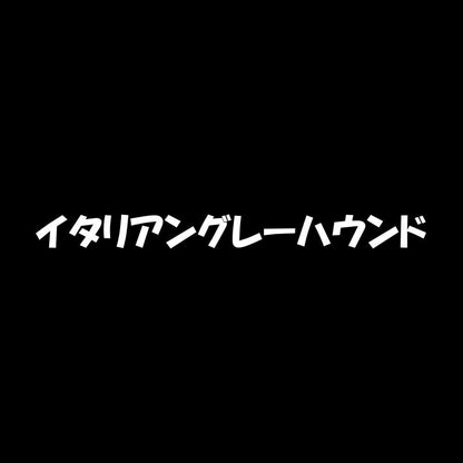 イタリアングレーハウンド 7