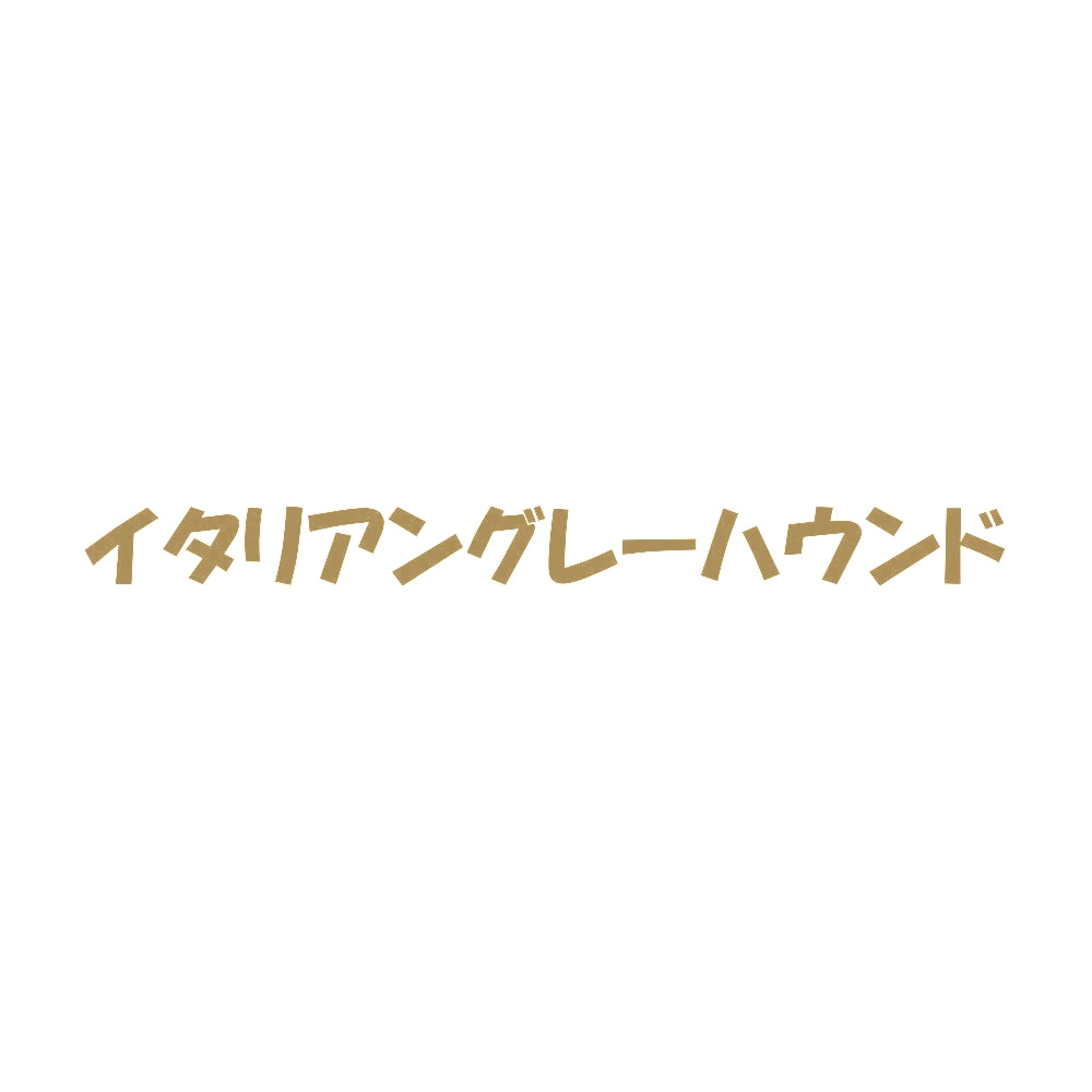 イタリアングレーハウンド 9