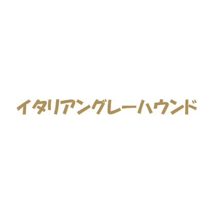 イタリアングレーハウンド 9