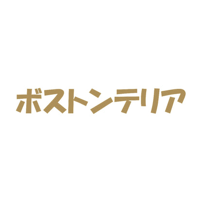 ボストンテリア 9