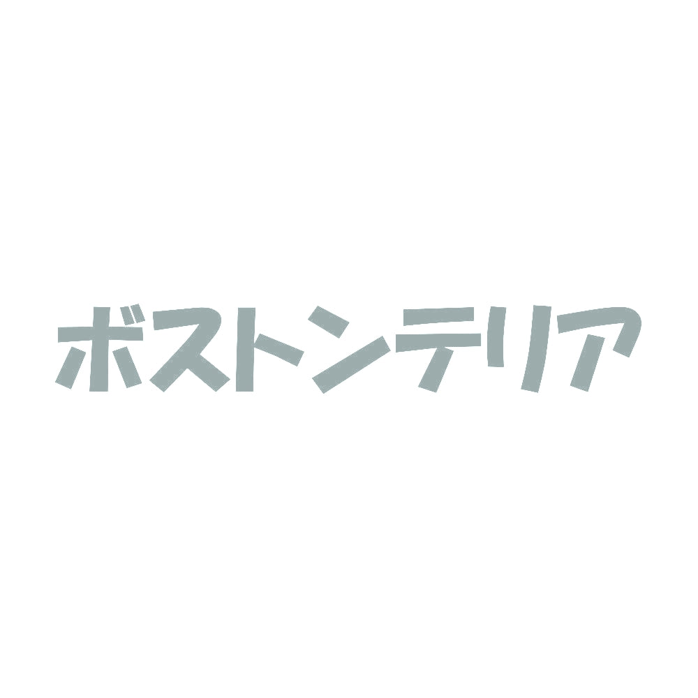 ボストンテリア 10