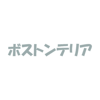 ボストンテリア 10