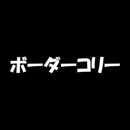 ボーダーコリー 7