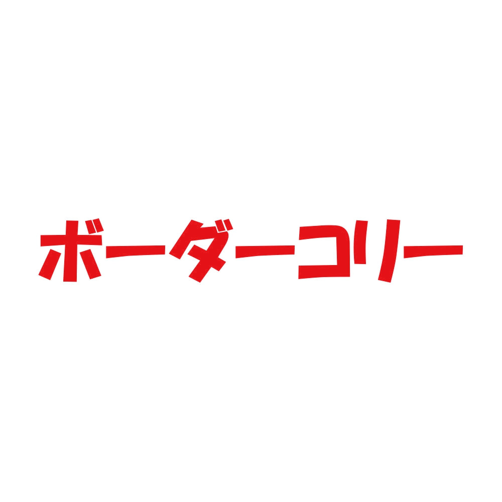 ボーダーコリー 8
