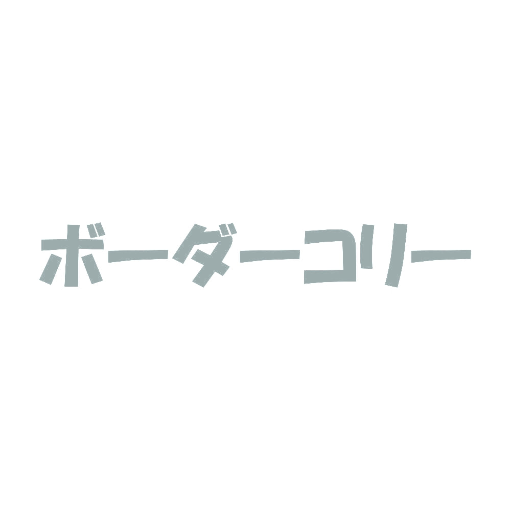 ボーダーコリー 10