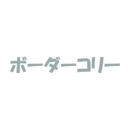 ボーダーコリー 10
