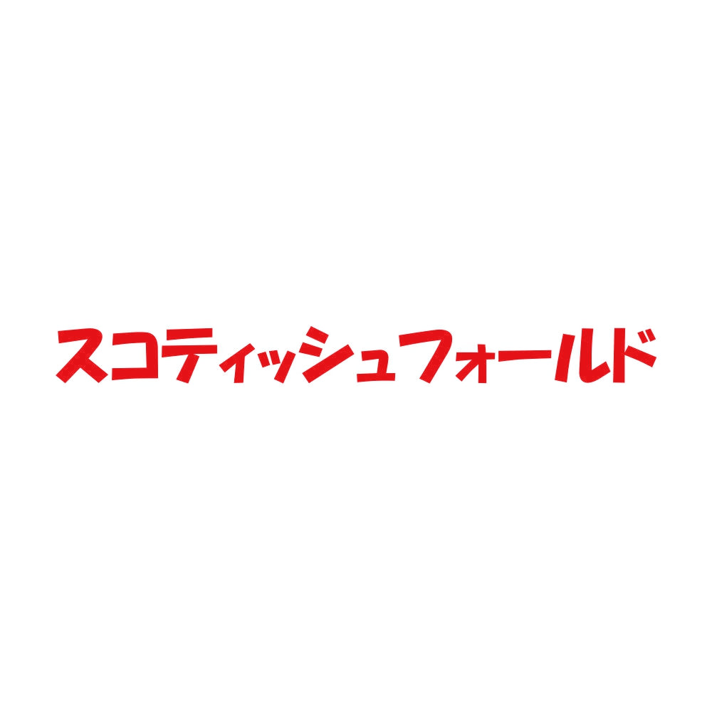 スコティッシュフォールド 8
