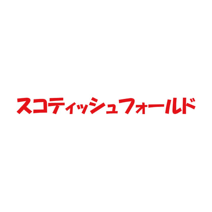 スコティッシュフォールド 8