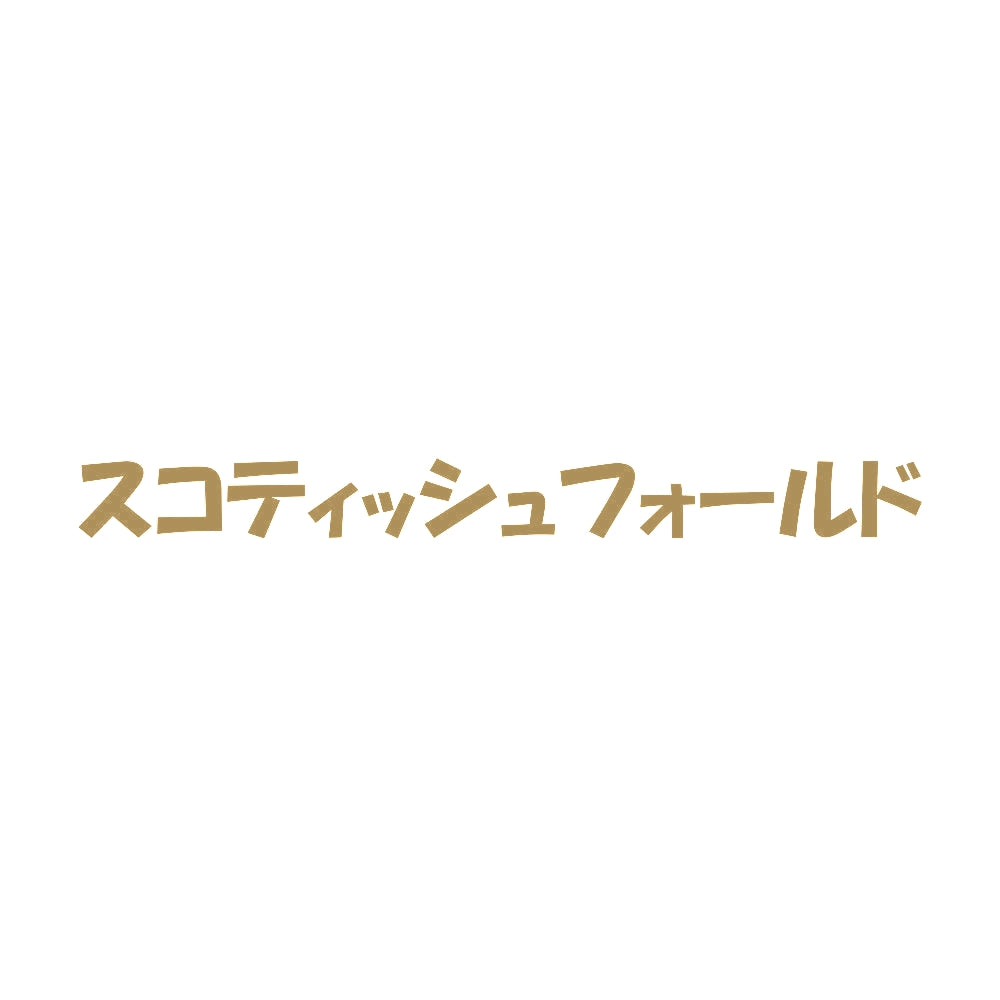 スコティッシュフォールド 9