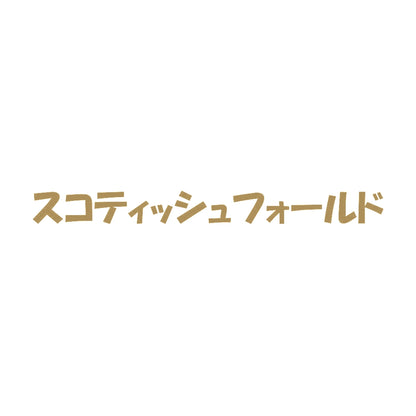 スコティッシュフォールド 9
