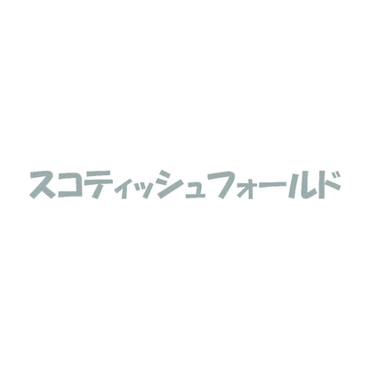 スコティッシュフォールド 10
