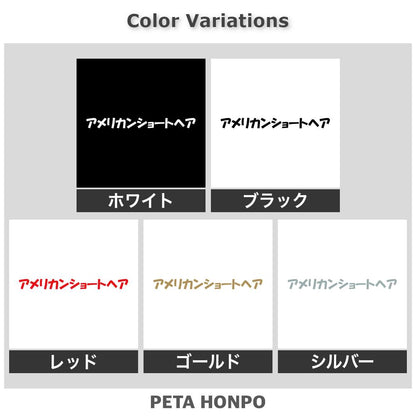 アメリカンショートヘア 2