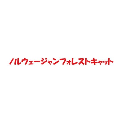 ノルウェージャンフォレストキャット 8