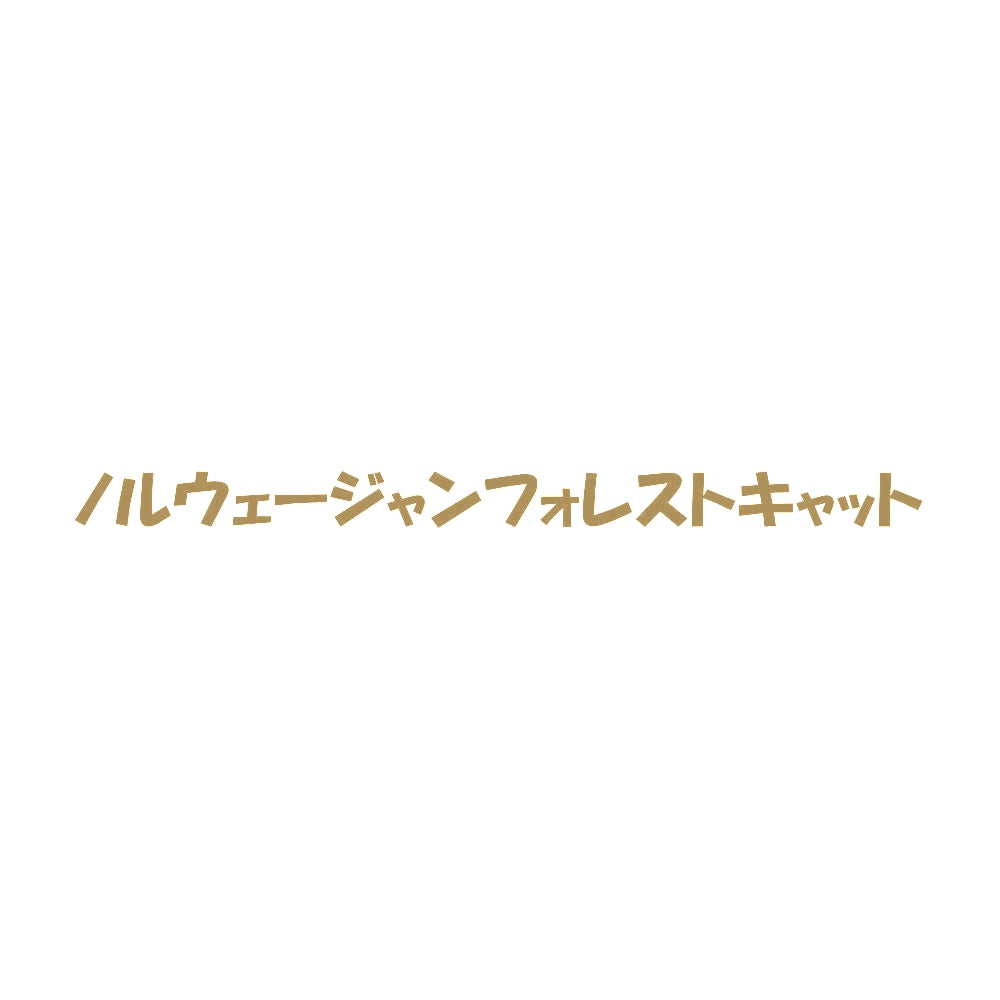 ノルウェージャンフォレストキャット 9