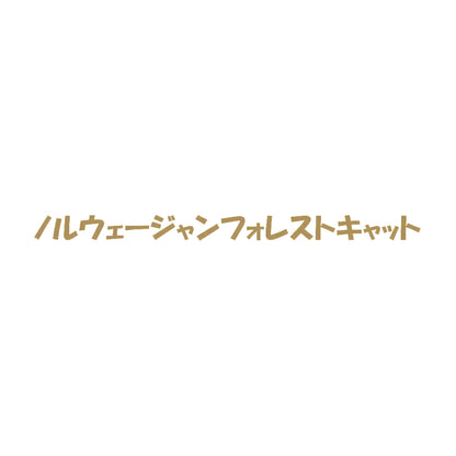 ノルウェージャンフォレストキャット 9