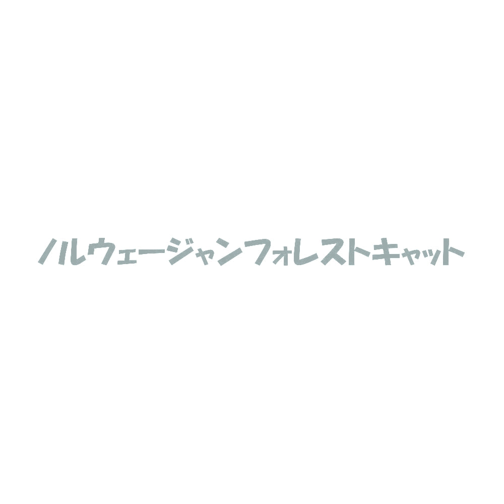 ノルウェージャンフォレストキャット 10