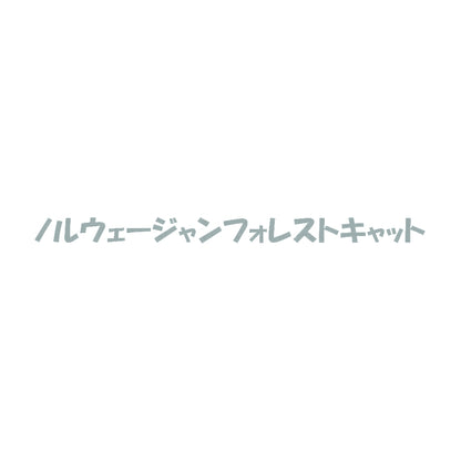 ノルウェージャンフォレストキャット 10