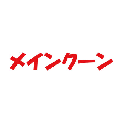 メインクーン 8