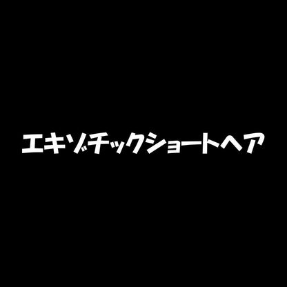 エキゾチックショートヘア 7