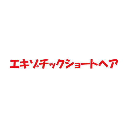 エキゾチックショートヘア 8