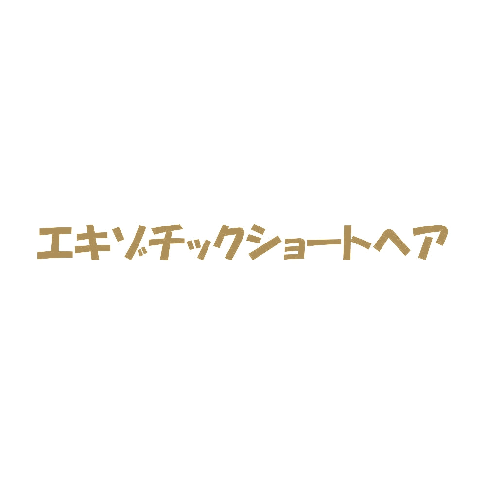 エキゾチックショートヘア 9
