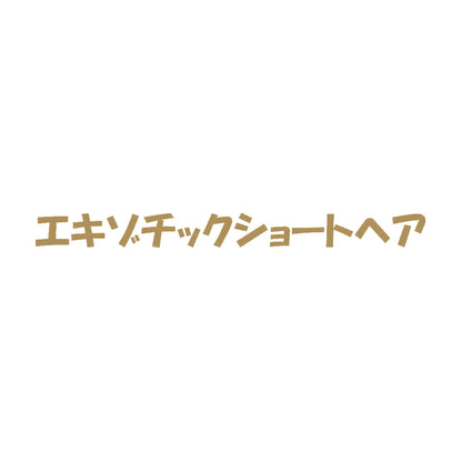 エキゾチックショートヘア 9