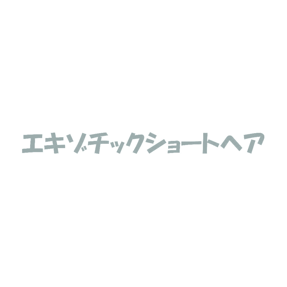 エキゾチックショートヘア 10