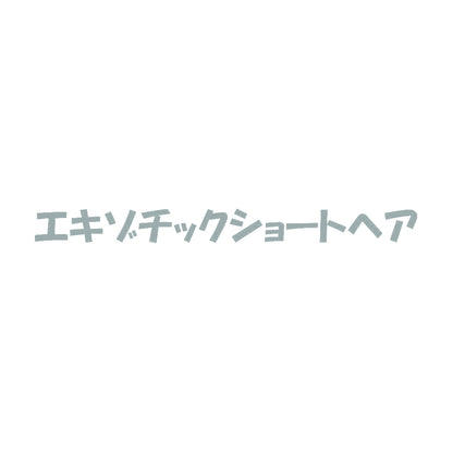 エキゾチックショートヘア 10