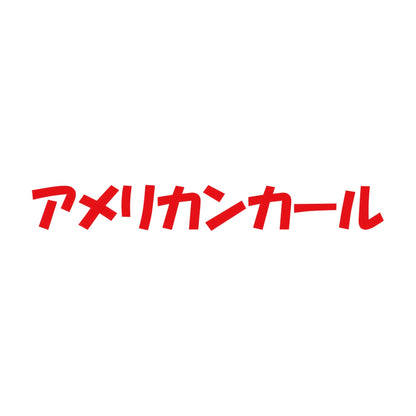 アメリカンカール 8